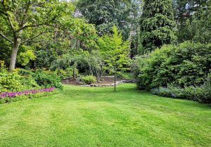 Optimiser l'expérience du jardin à Leuchey